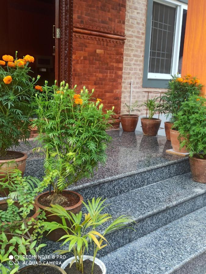 Hotel Namo Buddha Sauraha Ngoại thất bức ảnh